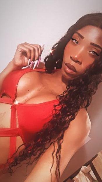 4806850801, female escort, Phoenix