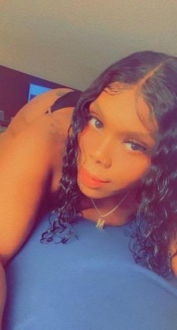 6236664144, female escort, Phoenix