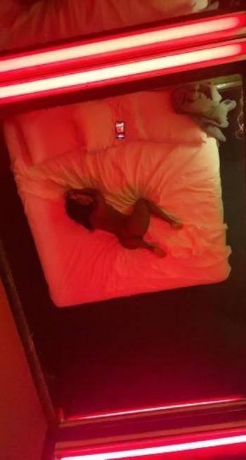 4808649762, female escort, Phoenix